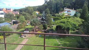 WP_20150920_12_37_29_Pro