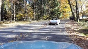 12190639_957748594270895_1756923328_o