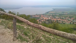 WP_20151010_10_53_43_Pro