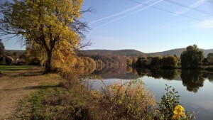 WP_20151101_13_53_17_Pro