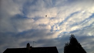 WP_20151112_15_10_06_Pro