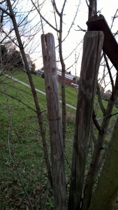 WP_20151118_15_44_44_Pro