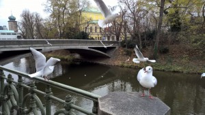 WP_20151127_11_51_52_Pro