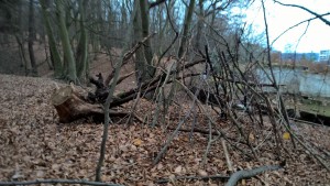 WP_20151129_09_53_11_Pro