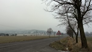 WP_20160103_13_40_59_Pro