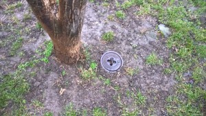 WP_20160111_15_42_46_Pro