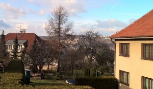 WP_20160205_11_24_49_Pro