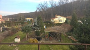 WP_20160207_13_18_48_Pro