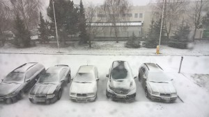 WP_20160217_10_10_46_Pro