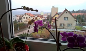 WP_20160223_16_40_00_Pro