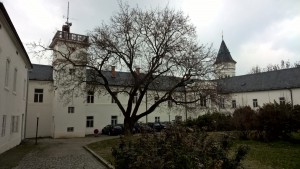 WP_20160319_12_13_16_Pro