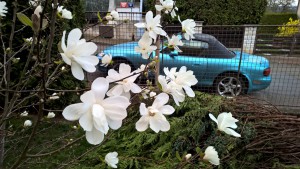 WP_20160407_13_43_15_Pro