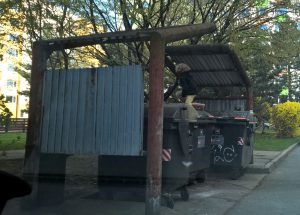 WP_20160413_17_37_57_Pro