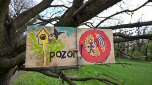 WP_20160417_13_44_00_Pro