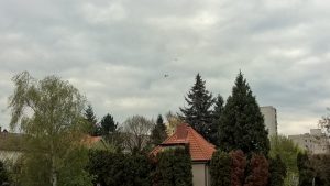 WP_20160419_17_44_18_Pro