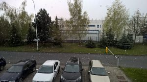 WP_20160425_12_57_42_Pro