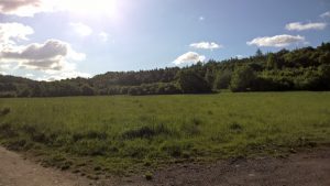 WP_20160515_08_35_07_Pro