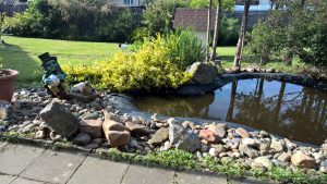 WP_20160608_17_34_50_Pro 1