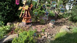 WP_20160612_18_00_32_Pro