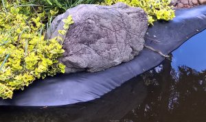 WP_20160619_15_49_18_Pro