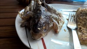 WP_20160622_19_11_31_Pro