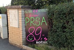 WP_20160623_07_49_28_Pro