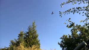 WP_20160720_18_30_38_Pro