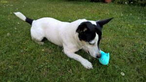 WP_20160729_16_50_43_Pro