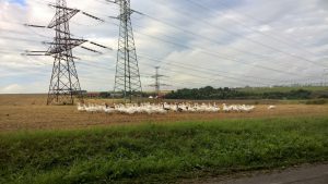 WP_20160810_17_27_46_Pro