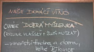 WP_20160812_15_53_58_Pro