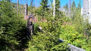 wp_20160827_11_07_14_pro