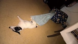 wp_20160908_22_18_40_pro