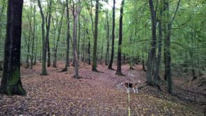 wp_20160918_09_12_05_pro