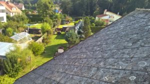 wp_20160925_11_29_52_pro