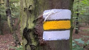 wp_20160928_08_56_07_pro