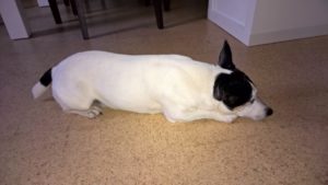 wp_20160929_07_31_17_pro