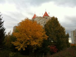 20161021_142822910_ios