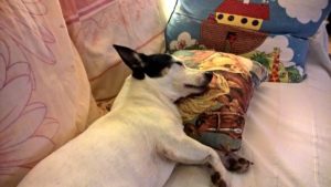 wp_20161029_20_03_48_pro