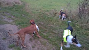 wp_20161105_08_02_43_pro